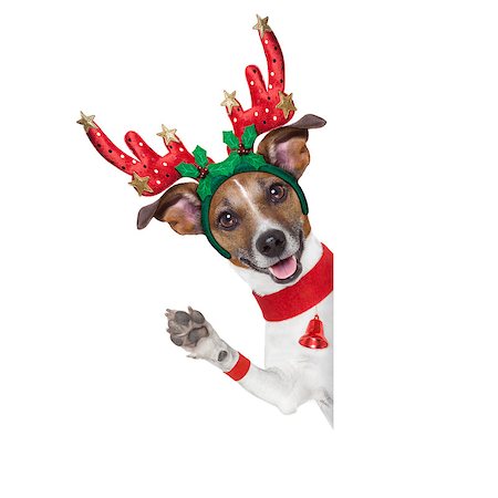 simsearch:400-07050961,k - reindeer dog behind a blank banner with waving with paw Stock Photo - Budget Royalty-Free & Subscription, Code: 400-07247051