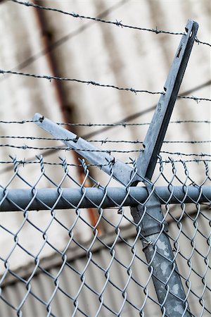 simsearch:400-08314121,k - Outdoor Fence Detail of Sharp Barbwire Installation. Security and Protection Concept Stock Photo - Budget Royalty-Free & Subscription, Code: 400-07247248