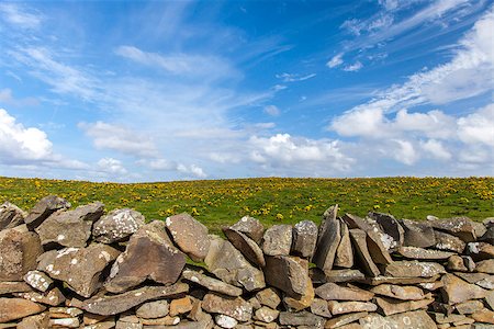 Bright blue sky with nice clouds and a nice colorful wall and grassfield Stockbilder - Microstock & Abonnement, Bildnummer: 400-07247482