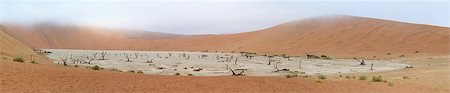 simsearch:649-07905426,k - Panorama from ten photos of Deadvlei near Sossusvlei,  Namibia Stock Photo - Budget Royalty-Free & Subscription, Code: 400-07247636