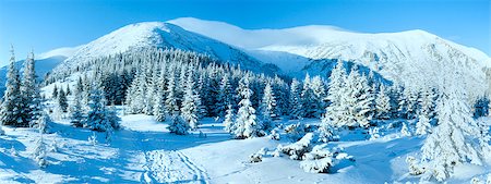 footprint winter landscape mountain - Morning winter mountain landscape with fir trees on slope. Photographie de stock - Aubaine LD & Abonnement, Code: 400-07248211