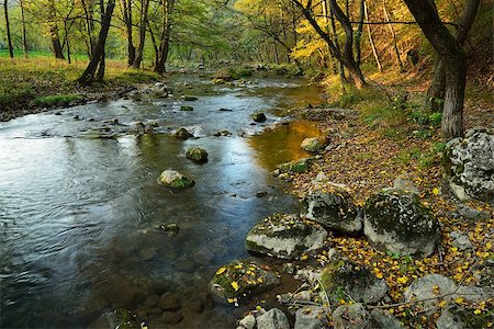 simsearch:400-05693840,k - Autumn Landscape  with Mountain River in Colorful Forest. River Gradac. Serbia. Europe Stock Photo - Budget Royalty-Free & Subscription, Code: 400-07248387