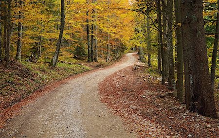 simsearch:400-08035898,k - Mountain Road in Forest with Autumn Colorful Trees.  National Park Tara. Serbia. Europe Stock Photo - Budget Royalty-Free & Subscription, Code: 400-07248388