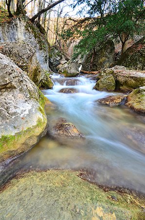 simsearch:400-08793800,k - The roots of the river pours a torrent in the wild forest Stock Photo - Budget Royalty-Free & Subscription, Code: 400-07248777