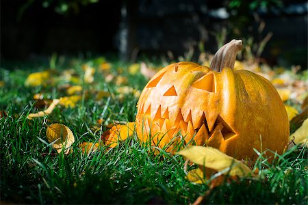 simsearch:400-07828867,k - Halloween Pumpkin on grass and autumn leaves Photographie de stock - Aubaine LD & Abonnement, Code: 400-07249038