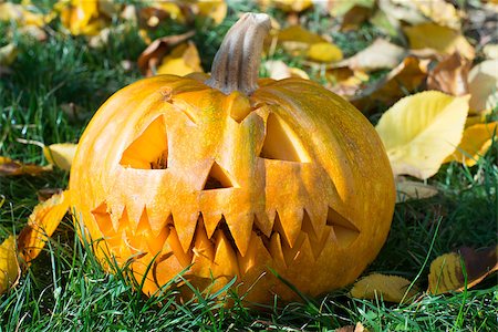 simsearch:400-07828867,k - Halloween Pumpkin on grass and autumn leaves Photographie de stock - Aubaine LD & Abonnement, Code: 400-07249039