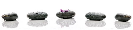 petal on stone - Violet flower petal on black spa stone with water drops. Stock Photo - Budget Royalty-Free & Subscription, Code: 400-07249752