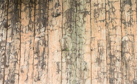 A grunge wooden wall with vignetting and texture Stock Photo - Budget Royalty-Free & Subscription, Code: 400-07243925