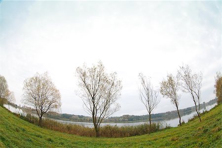 simsearch:400-07107314,k - Autumn landscape with water and trees on the coast Fotografie stock - Microstock e Abbonamento, Codice: 400-07255010