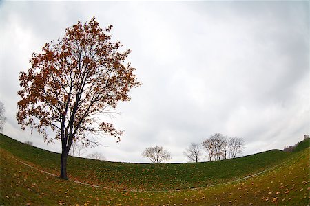 simsearch:400-07107314,k - Trees with yellow and red leaves in Autumn Fotografie stock - Microstock e Abbonamento, Codice: 400-07255013