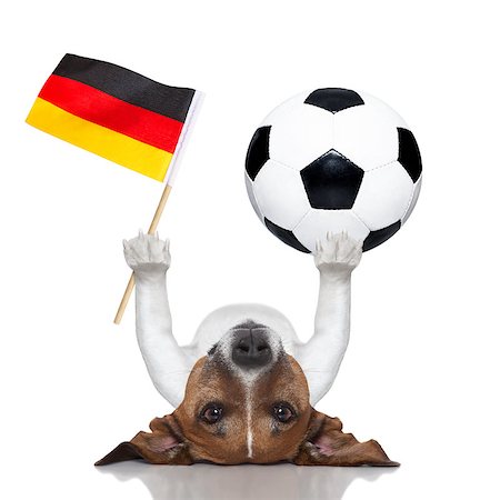 dog fan - soccer dog balancing a soccer ball and a german flag Stock Photo - Budget Royalty-Free & Subscription, Code: 400-07255044