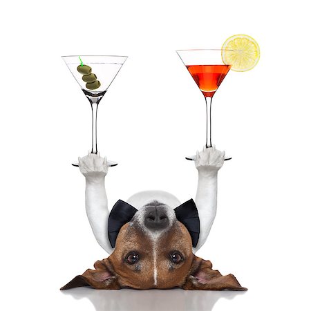 simsearch:400-07822392,k - cocktail dog balancing two fancy martinis with paws Foto de stock - Super Valor sin royalties y Suscripción, Código: 400-07255059