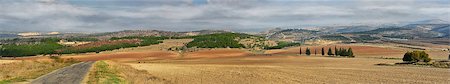 Panorama of fields, villages and agriculture in Israel in November Stockbilder - Microstock & Abonnement, Bildnummer: 400-07255233