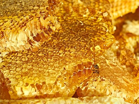 simsearch:400-06948265,k - Broken honeycomb with honey, a bee on the honeycomb cells surface Photographie de stock - Aubaine LD & Abonnement, Code: 400-07256255