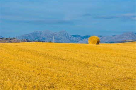 simsearch:400-04529071,k - Hay Bales on the Field in the Cantabrian Mountain, Spain Stock Photo - Budget Royalty-Free & Subscription, Code: 400-07256501