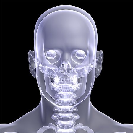 simsearch:400-08294547,k - The man's head. X-ray render on a black background Stockbilder - Microstock & Abonnement, Bildnummer: 400-07256529