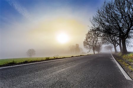 drive in fog - mystical rural foggy road going to the sunrise Stock Photo - Budget Royalty-Free & Subscription, Code: 400-07256655