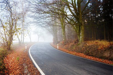 simsearch:400-08035898,k - rural autumn road going in to the fog Stock Photo - Budget Royalty-Free & Subscription, Code: 400-07256656