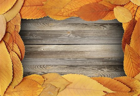 simsearch:400-07179654,k - thanksgiving backdrop with cherry leaves on a dirty old wooden table Photographie de stock - Aubaine LD & Abonnement, Code: 400-07256714