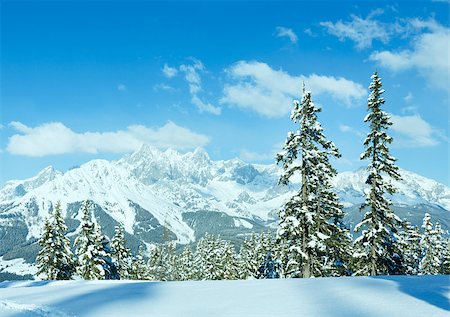 Winter mountain fir forest snowy landscape (top of Papageno bahn - Filzmoos, Austria) Foto de stock - Super Valor sin royalties y Suscripción, Código: 400-07256804