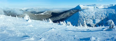 simsearch:400-06861143,k - Winter mountain panorama with snowy trees on slope (Carpathian, Ukraine) Foto de stock - Super Valor sin royalties y Suscripción, Código: 400-07256801