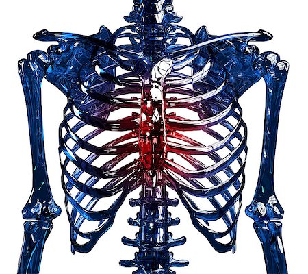 simsearch:400-08318516,k - Frontal view of a human glass skeleton chest and ribs made in 3D, showing thoracic pain concept. Isolated over white background. Stockbilder - Microstock & Abonnement, Bildnummer: 400-07257227