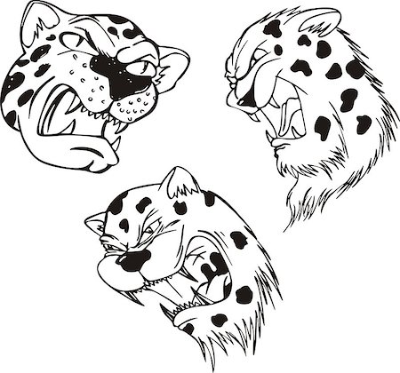 simsearch:400-06769146,k - Aggressive leopard heads. Set of black and white vector tattoo designs. Stock Photo - Budget Royalty-Free & Subscription, Code: 400-07257690