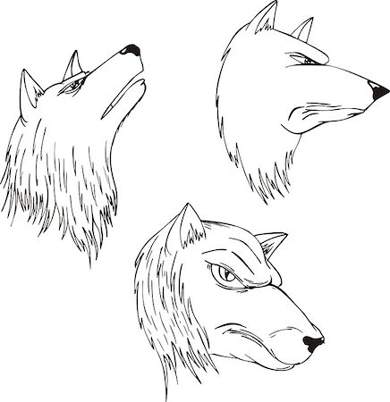 simsearch:400-06769146,k - Aggressive wolf heads. Set of black and white vector tattoo designs. Stock Photo - Budget Royalty-Free & Subscription, Code: 400-07257693