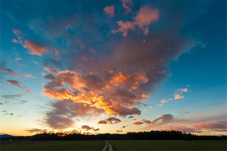 Beautiful sunset with meadow and dirt road. Stock Photo - Budget Royalty-Free & Subscription, Code: 400-07257760
