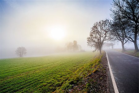 mystical rural foggy road going to the sunrise Stock Photo - Budget Royalty-Free & Subscription, Code: 400-07259566