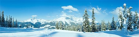 Winter mountain fir forest snowy panorama and woman tourist (top of Papageno bahn - Filzmoos, Austria) Stock Photo - Budget Royalty-Free & Subscription, Code: 400-07259629