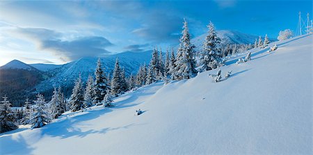simsearch:400-06861143,k - Morning winter mountain panorama with fir trees on slope (Carpathian, Ukraine). Foto de stock - Super Valor sin royalties y Suscripción, Código: 400-07259641