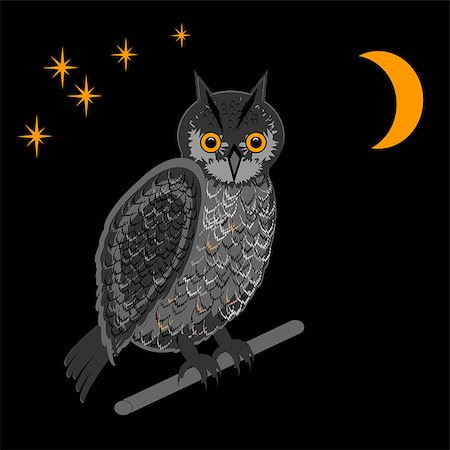 simsearch:400-07260284,k - An owl in the nighttime. Vector-art illustration Stock Photo - Budget Royalty-Free & Subscription, Code: 400-07259830