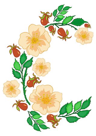 simsearch:400-06093261,k - Illustration of abstract tea roses frame isolated Fotografie stock - Microstock e Abbonamento, Codice: 400-07250044