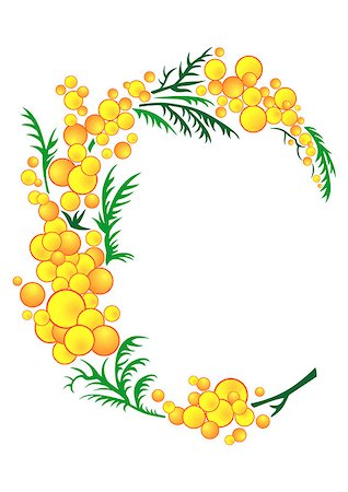 simsearch:400-07558492,k - Illustration of abstract mimosa branch isolated Fotografie stock - Microstock e Abbonamento, Codice: 400-07250042