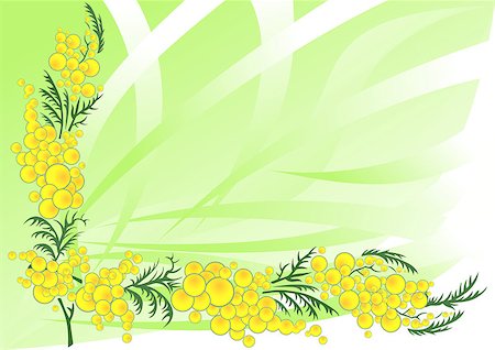 simsearch:400-06093261,k - Illustration of abstract mimosa branch with background Fotografie stock - Microstock e Abbonamento, Codice: 400-07250043