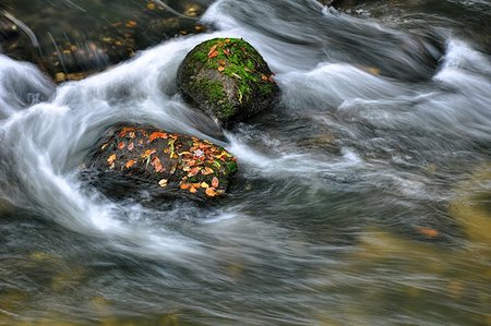 simsearch:400-04715797,k - Autumn river with fast flowing water and rocks filled - leaves Foto de stock - Super Valor sin royalties y Suscripción, Código: 400-07250142