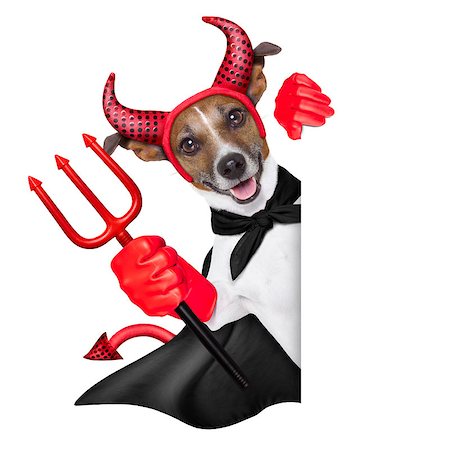 simsearch:400-07250604,k - devil dog behind a blank white banner Stock Photo - Budget Royalty-Free & Subscription, Code: 400-07250574