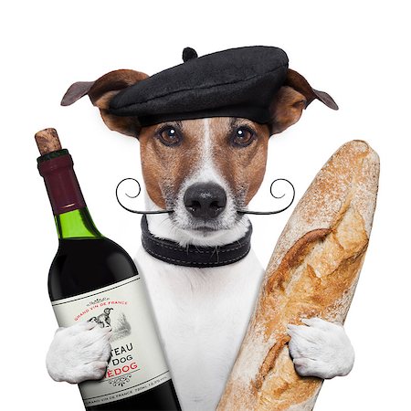 simsearch:400-06927182,k - french dog wine baguette beret Stockbilder - Microstock & Abonnement, Bildnummer: 400-07250579