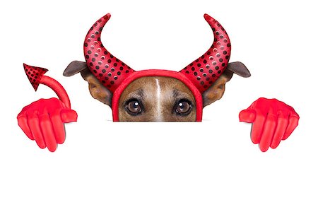 simsearch:400-07486435,k - devil dog behind a blank white banner Stock Photo - Budget Royalty-Free & Subscription, Code: 400-07250573