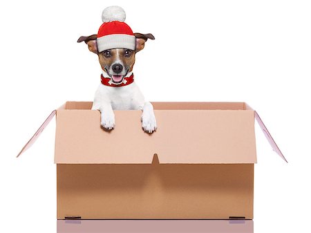 simsearch:400-08899894,k - winter christmas mail dog in a very  big moving box Photographie de stock - Aubaine LD & Abonnement, Code: 400-07250590