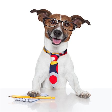 business dog typewriter tie glasses Foto de stock - Super Valor sin royalties y Suscripción, Código: 400-07250607