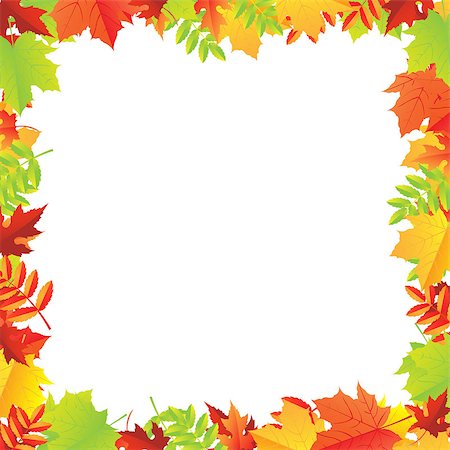 simsearch:851-02963821,k - Colorful Autumn Leafs Frame, Vector Illustration Foto de stock - Royalty-Free Super Valor e Assinatura, Número: 400-07250667