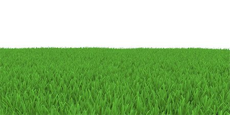 simsearch:400-05318999,k - Field of green grass. 3d render on white background Photographie de stock - Aubaine LD & Abonnement, Code: 400-07251055