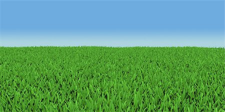 simsearch:400-05712992,k - Field of green grass. 3d render on blue sky background Photographie de stock - Aubaine LD & Abonnement, Code: 400-07251071