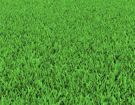 simsearch:400-03945601,k - Field of green grass. Background texture, high resolution Stock Photo - Budget Royalty-Free & Subscription, Code: 400-07251080