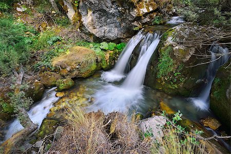 simsearch:400-04452321,k - River of forest from Macedonia Fotografie stock - Microstock e Abbonamento, Codice: 400-07251167