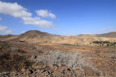 simsearch:400-07250127,k - Wild and arid landscape in Fuerteventura Island Stock Photo - Budget Royalty-Free & Subscription, Code: 400-07251212