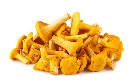 simsearch:400-07038465,k - Heap of chanterelle mushrooms isolated on white background Photographie de stock - Aubaine LD & Abonnement, Code: 400-07251275