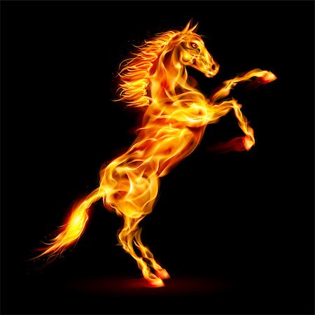 Fire horse rearing up. Illustration on black background. Stock Photo - Budget Royalty-Free & Subscription, Code: 400-07252666